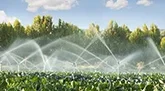 Irrigation Pump suppliers for irrigation systems, india, gujarat